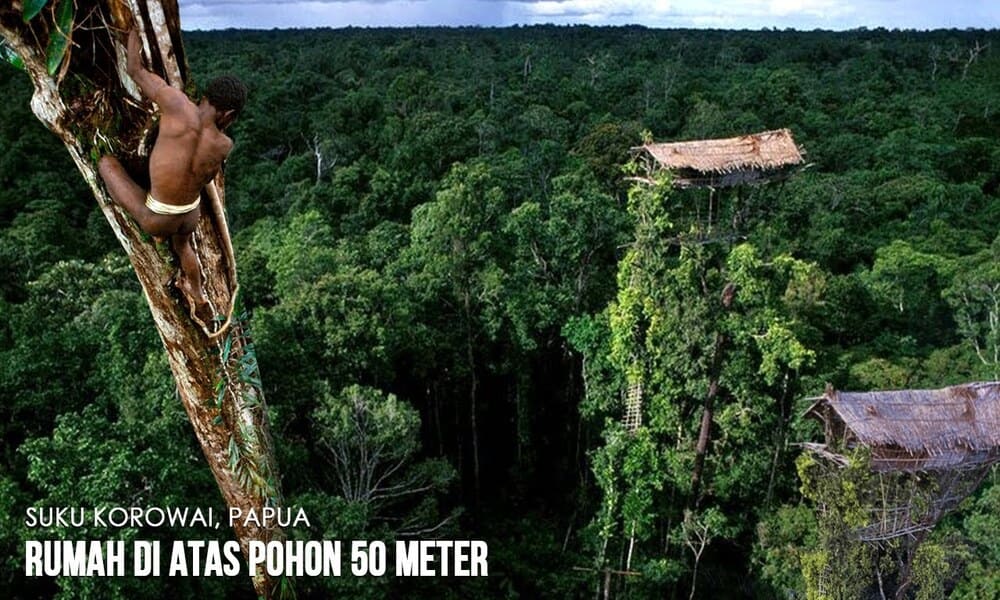 Suku Korowai Dari Papua Yang Hidup Di Atas Pohon