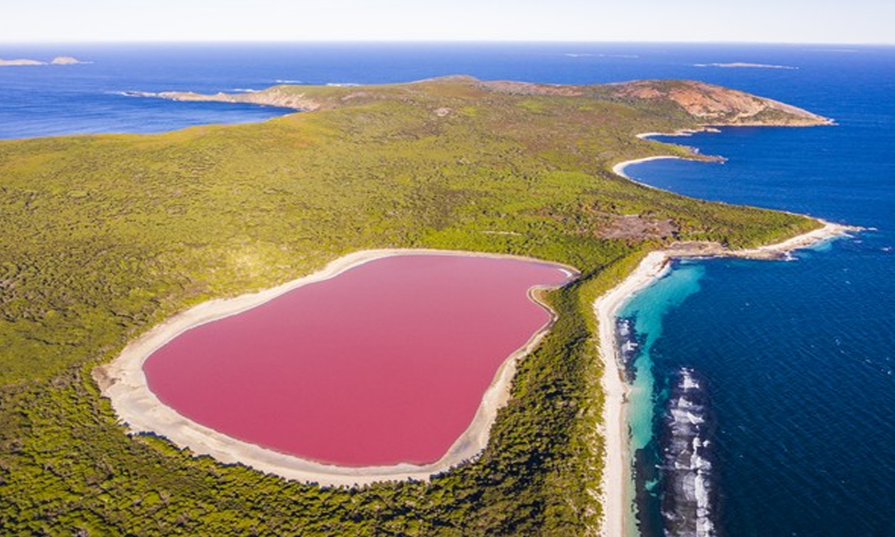 Danau Hillier: Misteri Danau Merah Muda di Australia